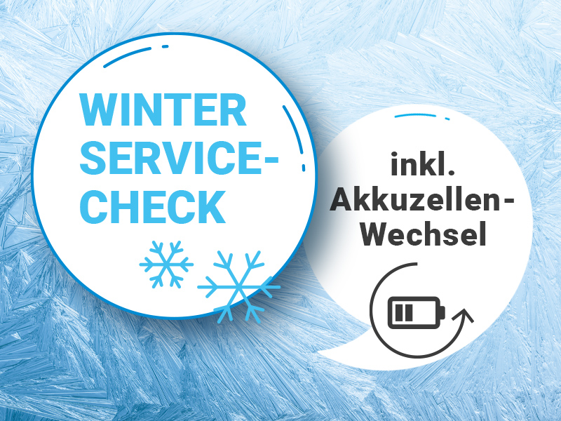 JuCad & JuStar Elektrocaddy | Winter Service-Check inklusive Akkuzellen-Wechsel