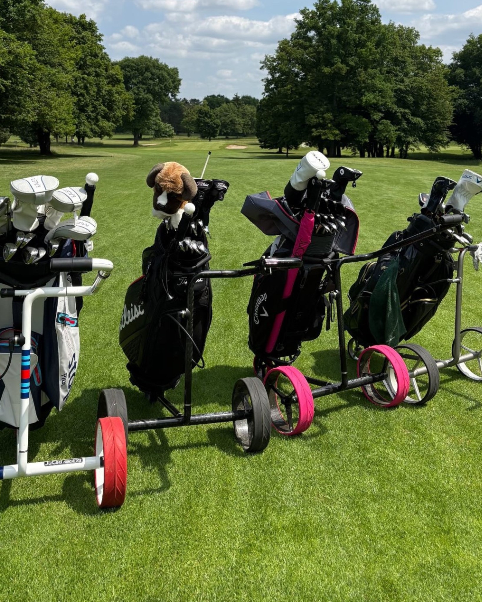 Colorful on the golf course - our JuCad golf trolleys are ready for a round of golf! 

Thanks for the picture @eurogolf_metz 

#jucad #golf #golftrolley #premium #golfcourse #qualitytime