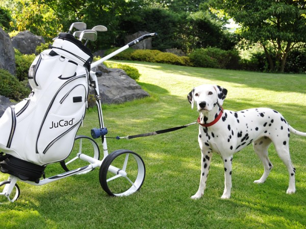 L’attache chien pour chariots JuCad