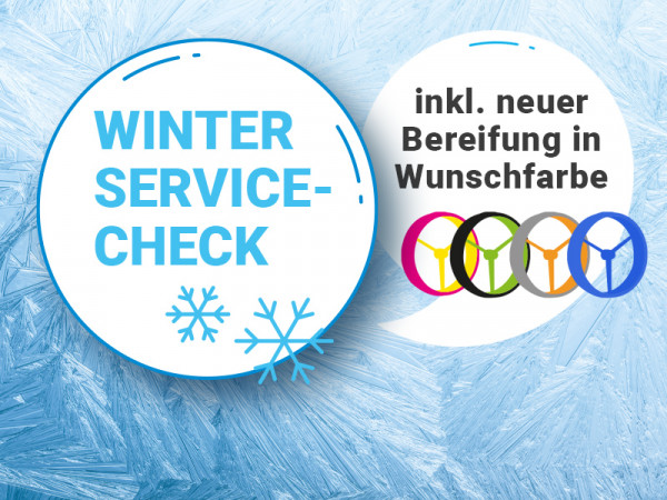 JuCad & JuStar Elektrocaddy | Winter Service-Check inklusive neuer Bereifung in Wunschfarbe